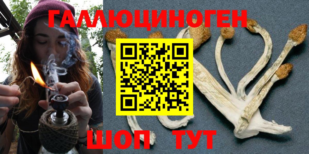 Галлюциногенные грибы GOLDEN TEACHER  Вход с VPN  Минусинск 